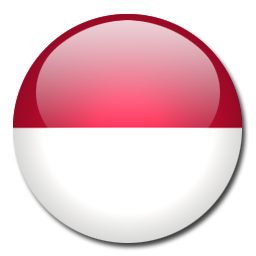 Bahasa Indonesia Indonesia language